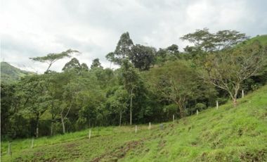 Se Vende Finca Vía Agua Azul