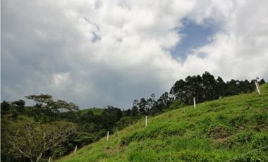 Se Vende Finca Vía Agua Azul