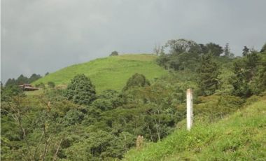 Se Vende Finca Vía Agua Azul