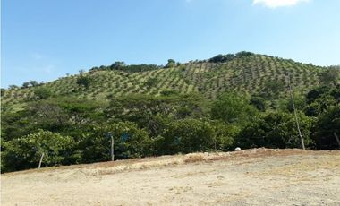 Vendo Finca en Toro - Valle