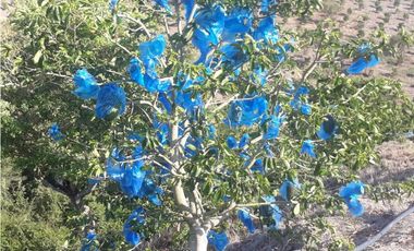 Vendo Finca en Toro - Valle