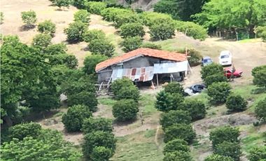 Vendo Finca en Toro - Valle