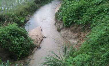 Land for sale in Tha Sut, Chiang Rai