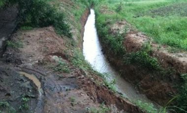Land for sale in Tha Sut, Chiang Rai