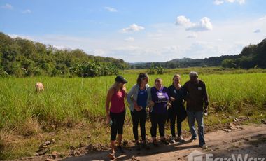 Land for sale in Tha Sut, Chiang Rai