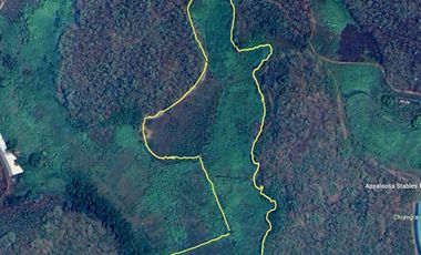 Land for sale in Tha Sut, Chiang Rai