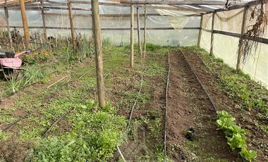 Parcela en Venta en San Rafael, camino bajo la Peña