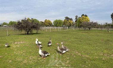 Parcela en Venta en San Rafael, camino bajo la Peña