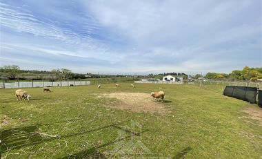 Parcela en Venta en San Rafael, camino bajo la Peña