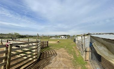 Parcela en Venta en San Rafael, camino bajo la Peña