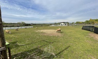 Parcela en Venta en San Rafael, camino bajo la Peña