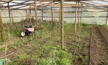 Parcela en Venta en San Rafael, camino bajo la Peña