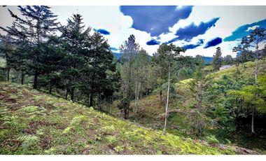 Espectacular Lote Parcelacion Retiro