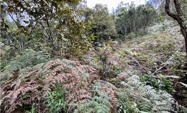 Venta Lote Exotica Vista Parcelacion Via Las Palmas