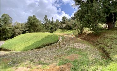 Venta Lote Exotica Vista Parcelacion Via Las Palmas