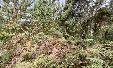 Venta Lote Exotica Vista Parcelacion Via Las Palmas