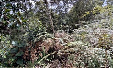 Venta Lote Exotica Vista Parcelacion Via Las Palmas