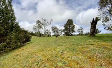 Venta Espectacular  Lote vista 360 Parcelacion Alto Palmas