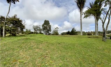 Venta Espectacular  Lote vista 360 Parcelacion Alto Palmas