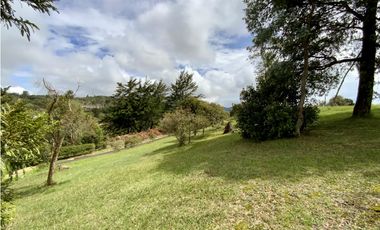 Venta Espectacular  Lote vista 360 Parcelacion Alto Palmas