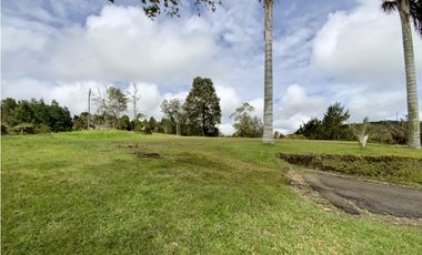 Venta Espectacular  Lote vista 360 Parcelacion Alto Palmas