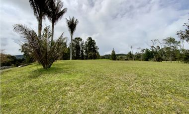 Venta Espectacular  Lote vista 360 Parcelacion Alto Palmas