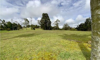 Venta Espectacular  Lote vista 360 Parcelacion Alto Palmas