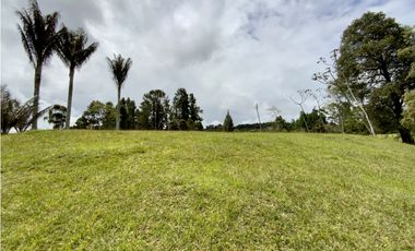 Venta Espectacular  Lote vista 360 Parcelacion Alto Palmas