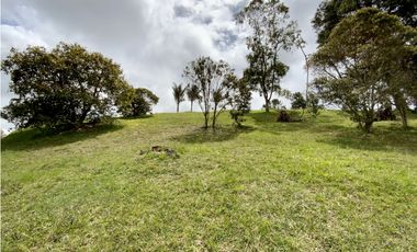 Venta Espectacular  Lote vista 360 Parcelacion Alto Palmas