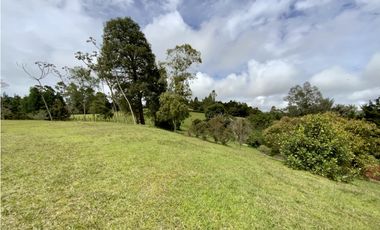 Venta Espectacular  Lote vista 360 Parcelacion Alto Palmas