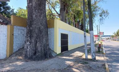 Local - Jose Clemente Paz