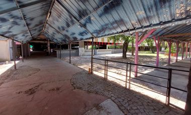 Local - Jose Clemente Paz