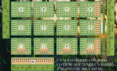 Venta Terreno Apto Desarrollo En Estacion Alvear Barrio Abierto