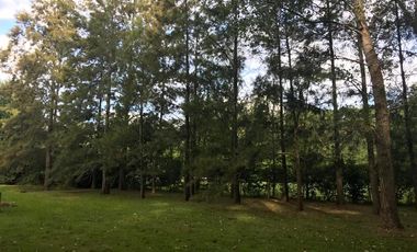 Venta Casa quinta - La Araucaria-Salvador Maria-Lobos