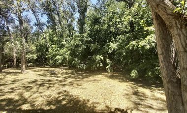Venta Casa quinta - La Araucaria-Salvador Maria-Lobos