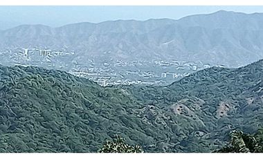 Bosque Virgen Para Reserva Forestal En Minca Santa Marta Colombia