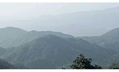 Bosque Virgen Para Reserva Forestal En Minca Santa Marta Colombia