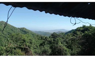 Bosque Virgen Para Reserva Forestal En Minca Santa Marta Colombia