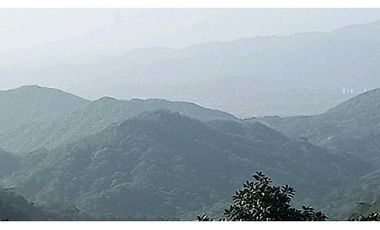 Bosque Virgen Para Reserva Forestal En Minca Santa Marta Colombia