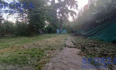 Casa - Centro (S.Mig.)