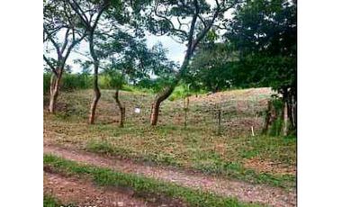 VENTA TERRENO 750m2 EXCELENTE OPORTUNIDAD, PENONOMÉ LAS LOMAS.