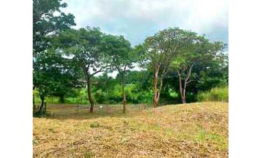 VENTA TERRENO 750m2 EXCELENTE OPORTUNIDAD, PENONOMÉ LAS LOMAS.