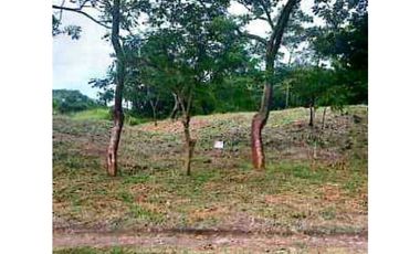 VENTA TERRENO 750m2 EXCELENTE OPORTUNIDAD, PENONOMÉ LAS LOMAS.