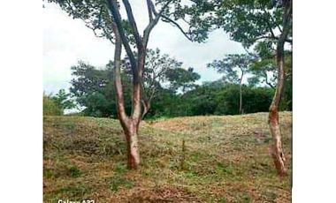 VENTA TERRENO 750m2 EXCELENTE OPORTUNIDAD, PENONOMÉ LAS LOMAS.