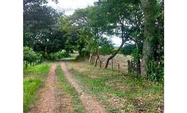 VENTA TERRENO 750m2 EXCELENTE OPORTUNIDAD, PENONOMÉ LAS LOMAS.