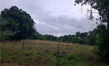 VENDO CASA CON LOTE EN  CHIRIQUI SANTO DOMINGO