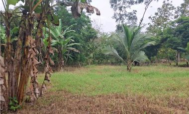 VENDO CASA CON LOTE EN  CHIRIQUI SANTO DOMINGO