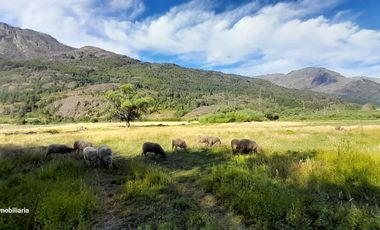 Chacra de 4 Hectareas, Sobre Ruta 40! El hoyo Chubut - $145.000 USD