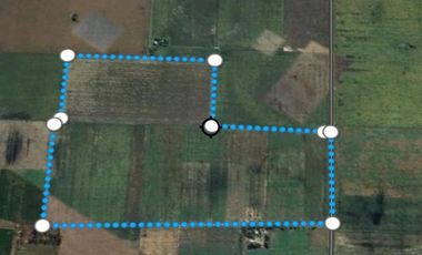 Campo en  VENTA entre Cañada del Ucle y Firmat
