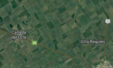 Campo en  VENTA entre Cañada del Ucle y Firmat